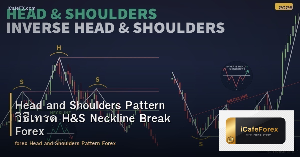 Head and Shoulders Pattern วิธีเทรด H&S Neckline Break Forex