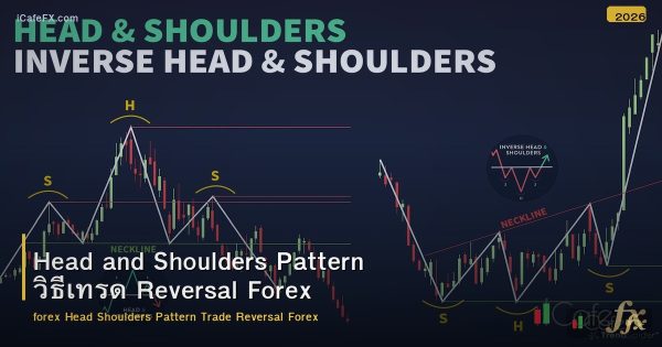 Head and Shoulders Pattern วิธีเทรด Reversal Forex
