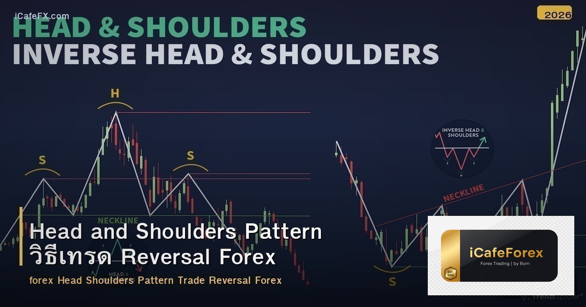 Head and Shoulders Pattern วิธีเทรด Reversal Forex