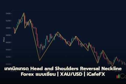 Head and Shoulders Pattern วิธีเทรด Reversal Neckline Forex