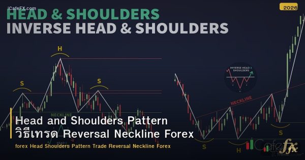Head and Shoulders Pattern วิธีเทรด Reversal Neckline Forex