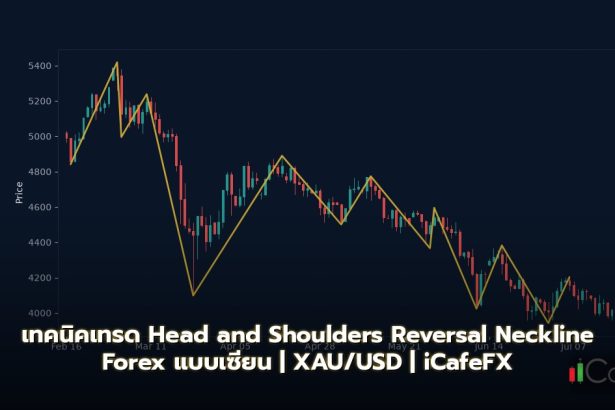 Head and Shoulders Pattern วิธีเทรด Reversal Neckline Forex