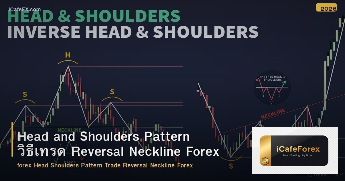 Head and Shoulders Pattern วิธีเทรด Reversal Neckline Forex