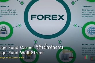 Hedge Fund Career วิธีเข้าทำงาน Hedge Fund Wall Street