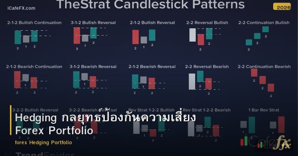 Hedging กลยุทธ์ป้องกันความเสี่ยง Forex Portfolio