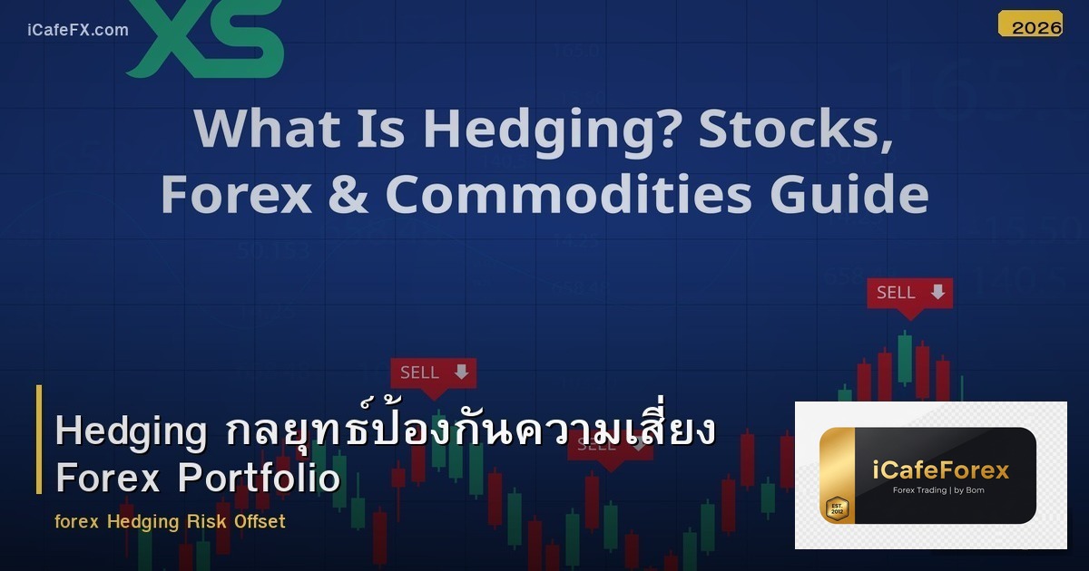 Hedging กลยุทธ์ป้องกันความเสี่ยง Forex Portfolio