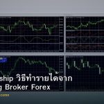 IB Partnership วิธีทำรายได้จาก Introducing Broker Forex