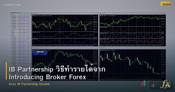 IB Partnership วิธีทำรายได้จาก Introducing Broker Forex