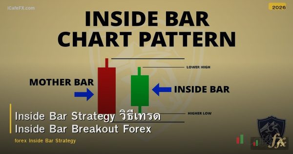 Inside Bar Strategy วิธีเทรด Inside Bar Breakout Forex