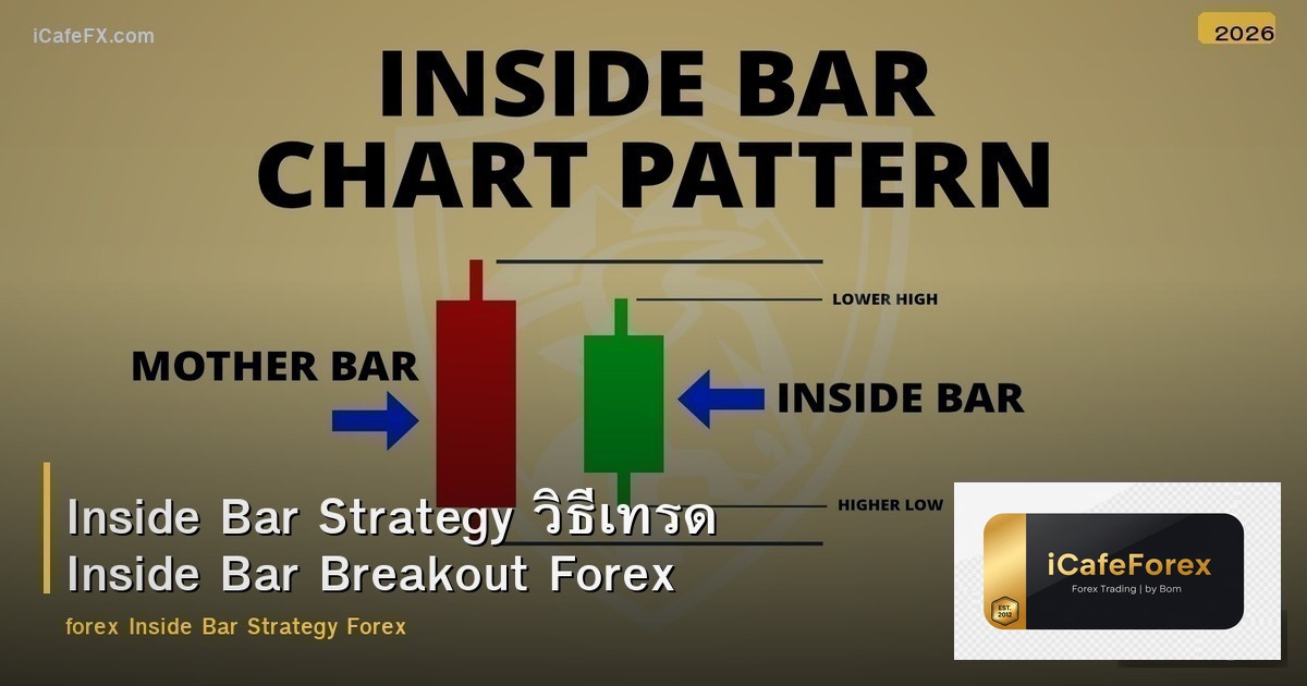Inside Bar Strategy วิธีเทรด Inside Bar Breakout Forex