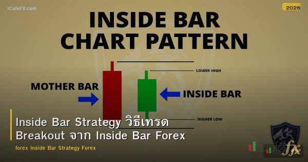 Inside Bar Strategy วิธีเทรด Breakout จาก Inside Bar Forex