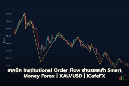 Institutional Order Flow วิธีอ่าน Smart Money Footprint Forex