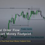 Institutional Order Flow วิธีอ่าน Smart Money Footprint Forex