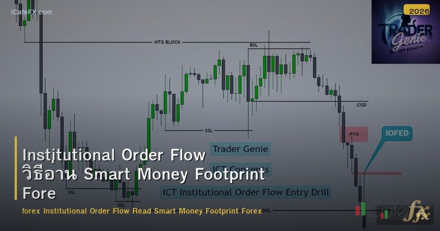 Institutional Order Flow วิธีอ่าน Smart Money Footprint Forex