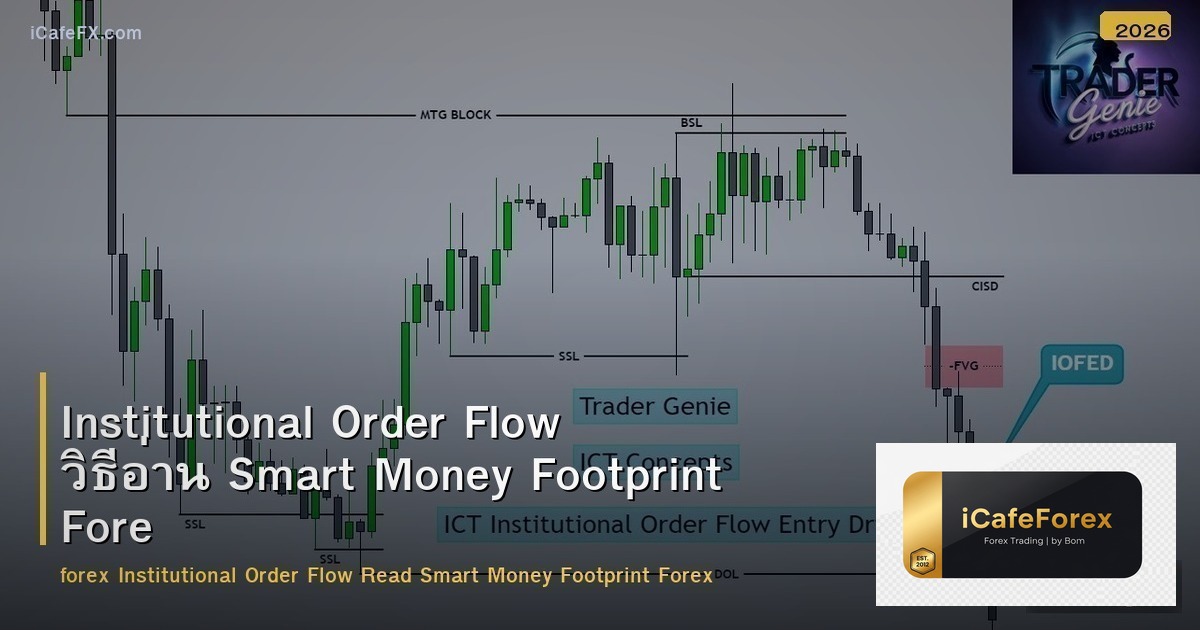 Institutional Order Flow วิธีอ่าน Smart Money Footprint Forex