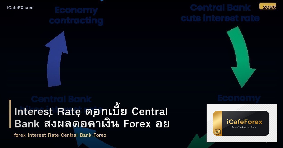 Interest Rate ดอกเบี้ย Central Bank ส่งผลต่อค่าเงิน Forex อย่างไร