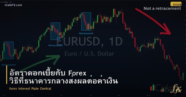 อัตราดอกเบี้ยกับ Forex วิธีที่ธนาคารกลางส่งผลต่อค่าเงิน