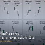 อัตราดอกเบี้ยกับ Forex วิธีที่ธนาคารกลางส่งผลต่อค่าเงิน