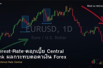 Interest Rate ดอกเบี้ย Central Bank ผลกระทบต่อค่าเงิน Forex