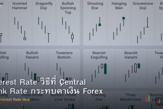 Interest Rate วิธีที่ Central Bank Rate กระทบค่าเงิน Forex