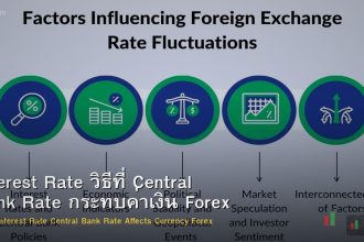 Interest Rate วิธีที่ Central Bank Rate กระทบค่าเงิน Forex