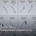 อัตราดอกเบี้ยกับ Forex วิธีที่ดอกเบี้ยส่งผลต่อค่าเงินและการเทรด