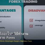 Leverage คืออะไร? วิธีทำงาน ข้อดี อันตราย Forex