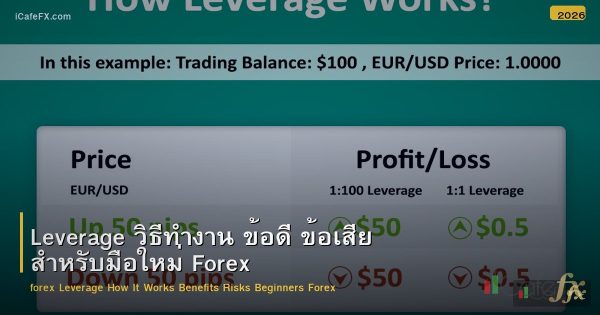 Leverage วิธีทำงาน ข้อดี ข้อเสีย สำหรับมือใหม่ Forex