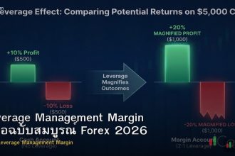 Leverage Management Margin คู่มือฉบับสมบูรณ์ Forex 2026