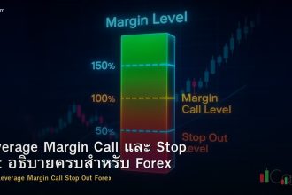 Leverage Margin Call และ Stop Out อธิบายครบสำหรับ Forex
