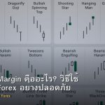 Leverage Margin คืออะไร? วิธีใช้ Leverage Forex อย่างปลอดภัย