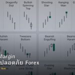 Leverage Margin วิธีใช้อย่างปลอดภัย Forex