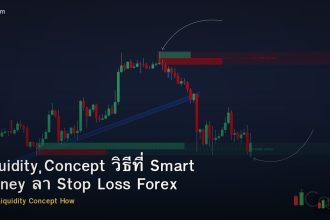 Liquidity Concept วิธีที่ Smart Money ล่า Stop Loss Forex