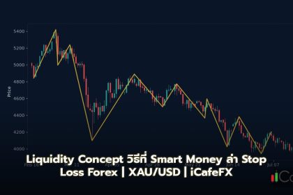 Liquidity Concept วิธีที่ Smart Money ล่า Stop Loss Forex