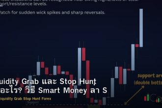 Liquidity Grab และ Stop Hunt คืออะไร? วิธี Smart Money ล่า SL ใน Forex