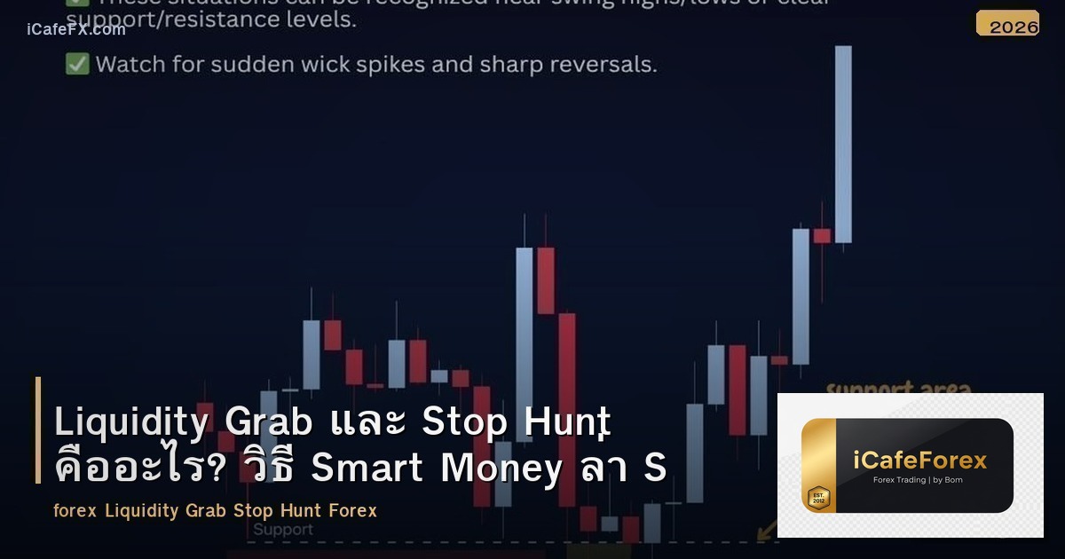 Liquidity Grab และ Stop Hunt คืออะไร? วิธี Smart Money ล่า SL ใน Forex