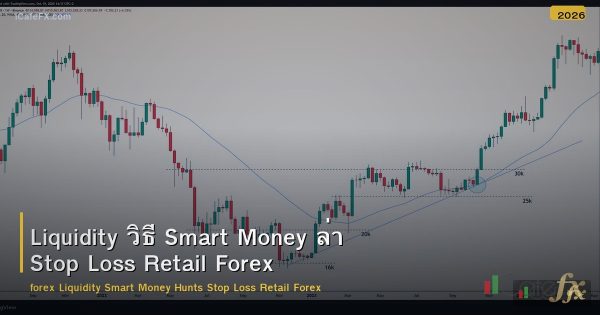 Liquidity วิธี Smart Money ล่า Stop Loss Retail Forex