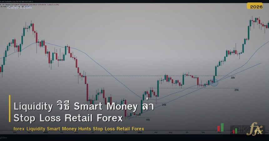 Liquidity วิธี Smart Money ล่า Stop Loss Retail Forex