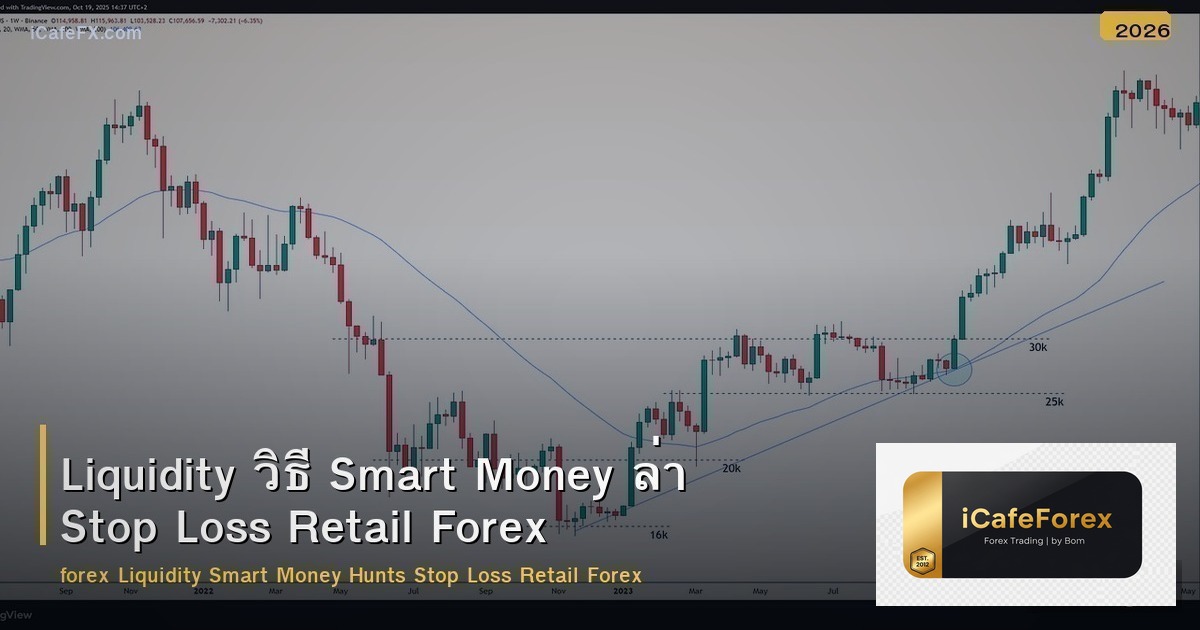 Liquidity วิธี Smart Money ล่า Stop Loss Retail Forex