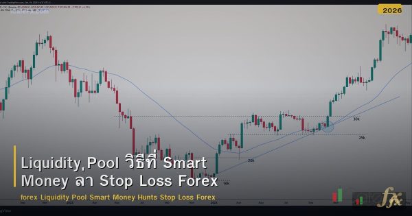 Liquidity Pool วิธีที่ Smart Money ล่า Stop Loss Forex