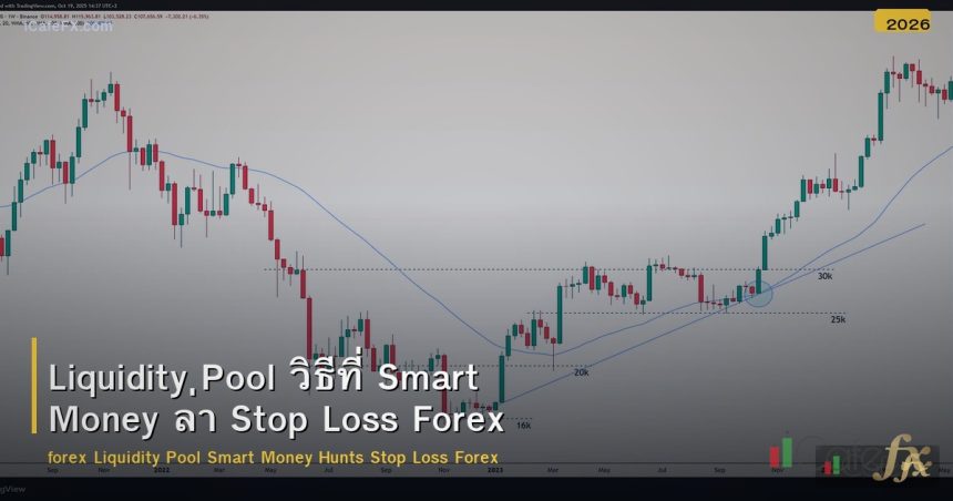 Liquidity Pool วิธีที่ Smart Money ล่า Stop Loss Forex