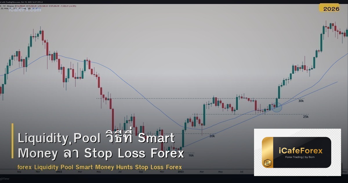 Liquidity Pool วิธีที่ Smart Money ล่า Stop Loss Forex