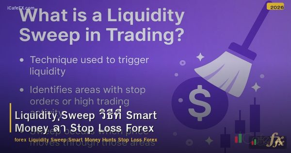 Liquidity Sweep วิธีที่ Smart Money ล่า Stop Loss Forex