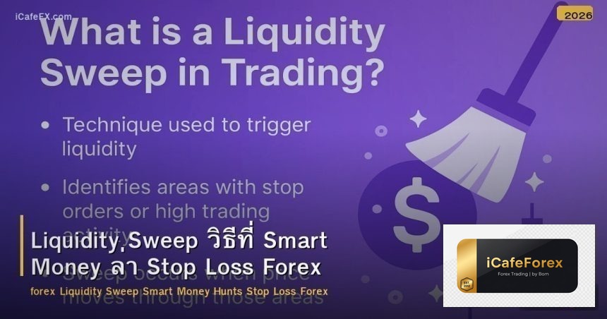 Liquidity Sweep วิธีที่ Smart Money ล่า Stop Loss Forex