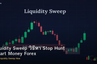 Liquidity Sweep วิธีหา Stop Hunt Smart Money Forex