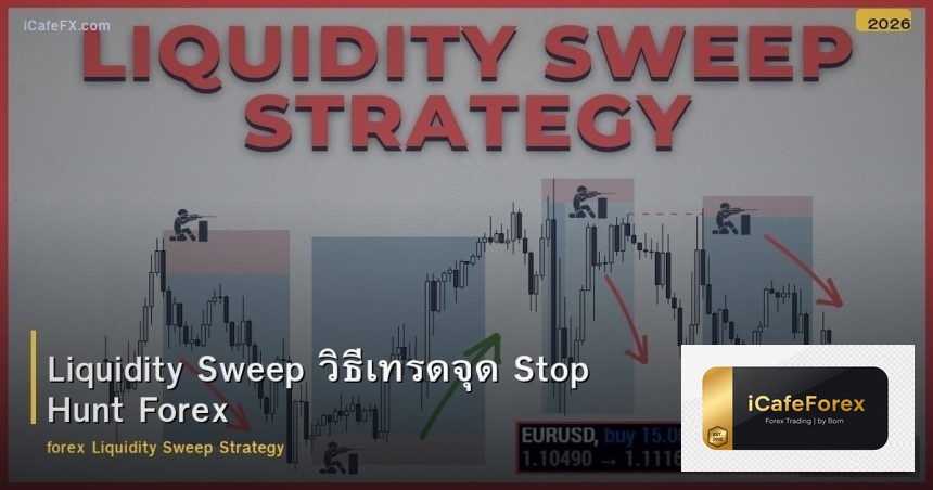 Liquidity Sweep วิธีเทรดจุด Stop Hunt Forex