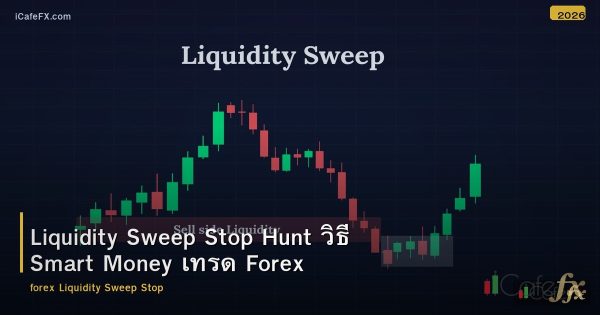 Liquidity Sweep Stop Hunt วิธี Smart Money เทรด Forex