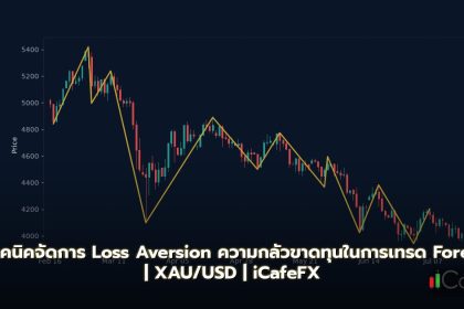 Loss Aversion วิธีจัดการความกลัวขาดทุนเมื่อเทรด Forex