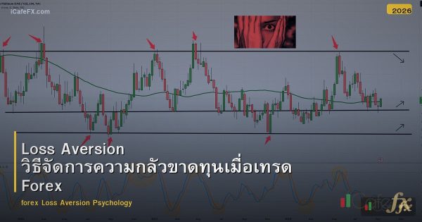 Loss Aversion วิธีจัดการความกลัวขาดทุนเมื่อเทรด Forex