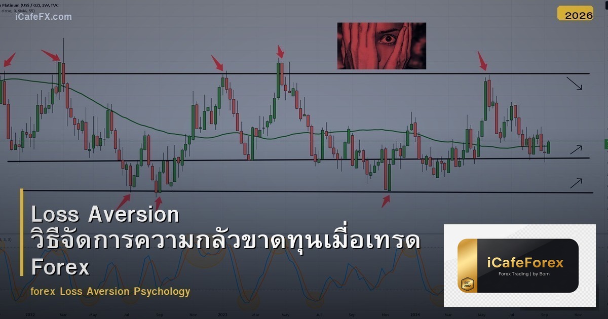 Loss Aversion วิธีจัดการความกลัวขาดทุนเมื่อเทรด Forex